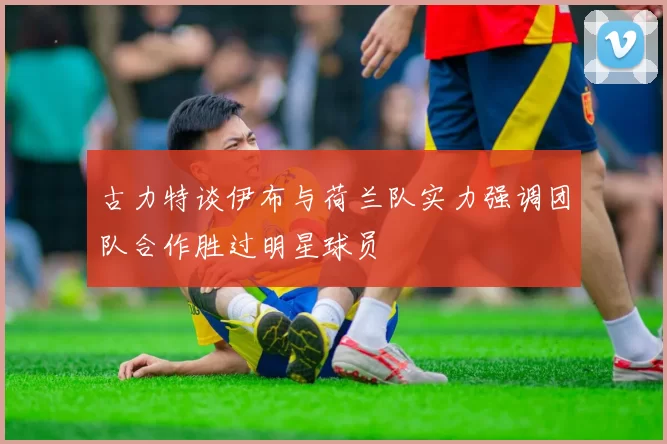 古力特谈伊布与荷兰队实力强调团队合作胜过明星球员