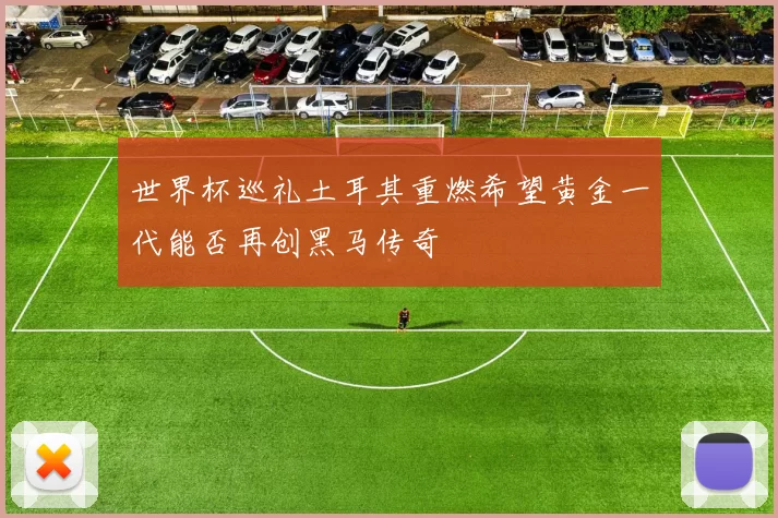 世界杯巡礼土耳其重燃希望黄金一代能否再创黑马传奇